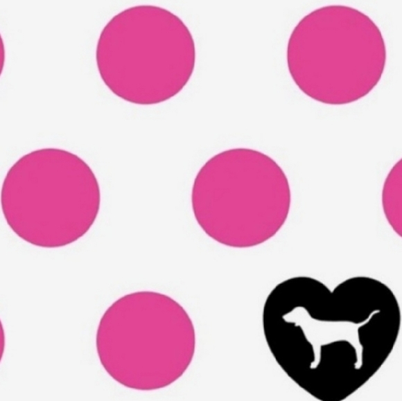 Victoria's Secret PINK Vintage Lace Extra Low Rise Cheeky Hipster Panty NWT - Picture 11 of 11